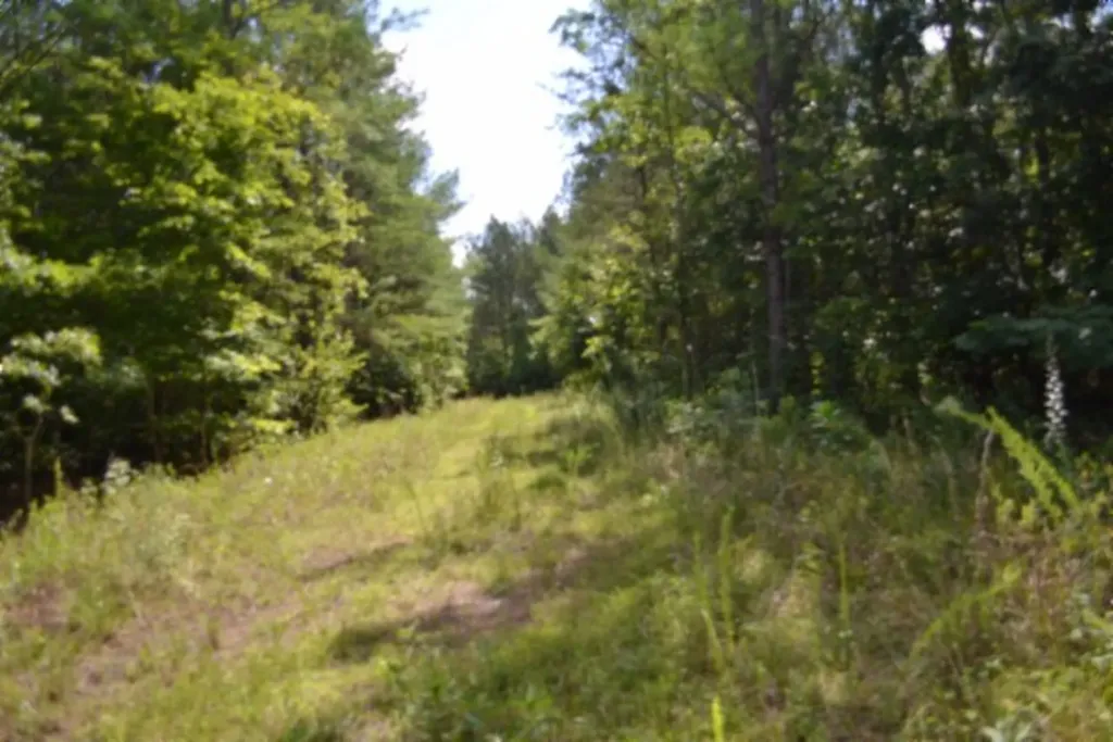 318 Rhodas Way Road Sunbright TN 37872