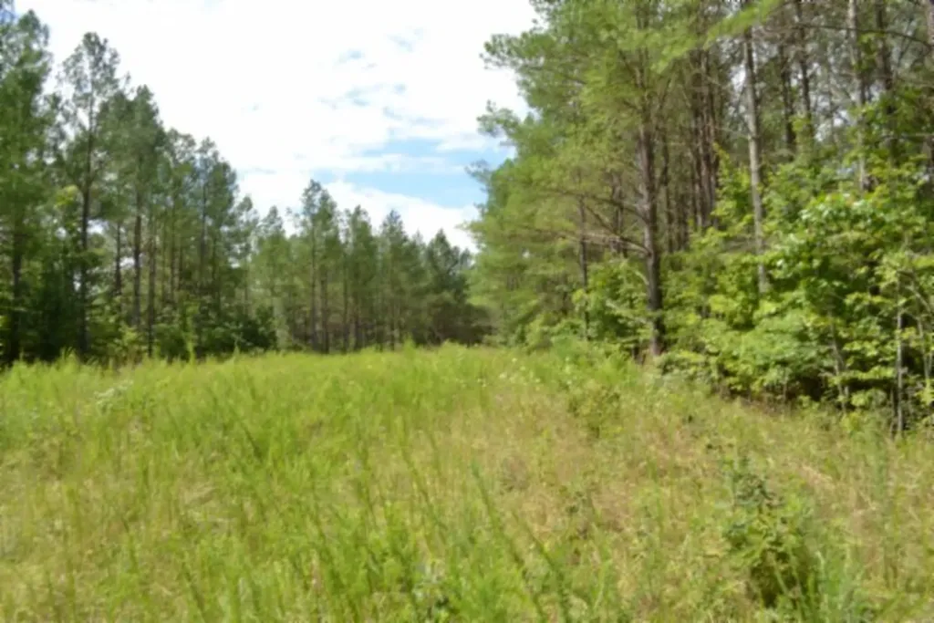 318 Rhodas Way Road Sunbright TN 37872