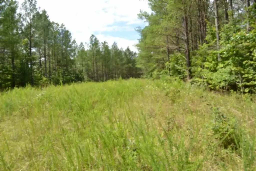 318 Rhodas Way Road Sunbright TN 37872