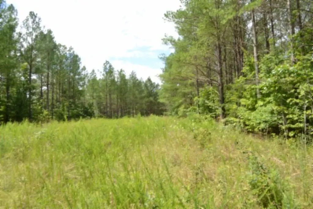 318 Rhodas Way Road Sunbright TN 37872