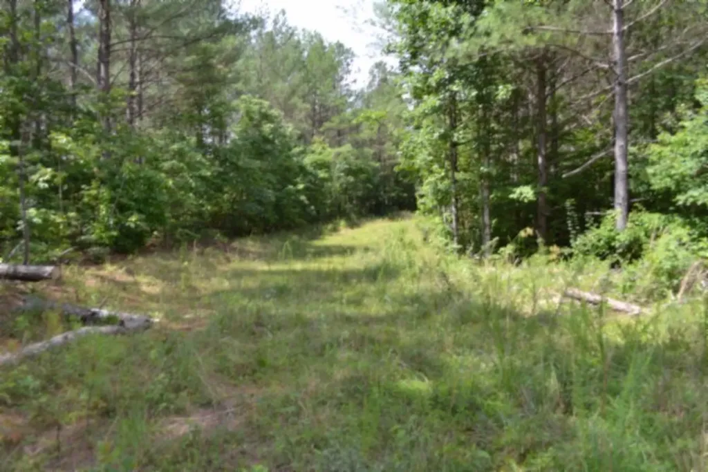 318 Rhodas Way Road Sunbright TN 37872