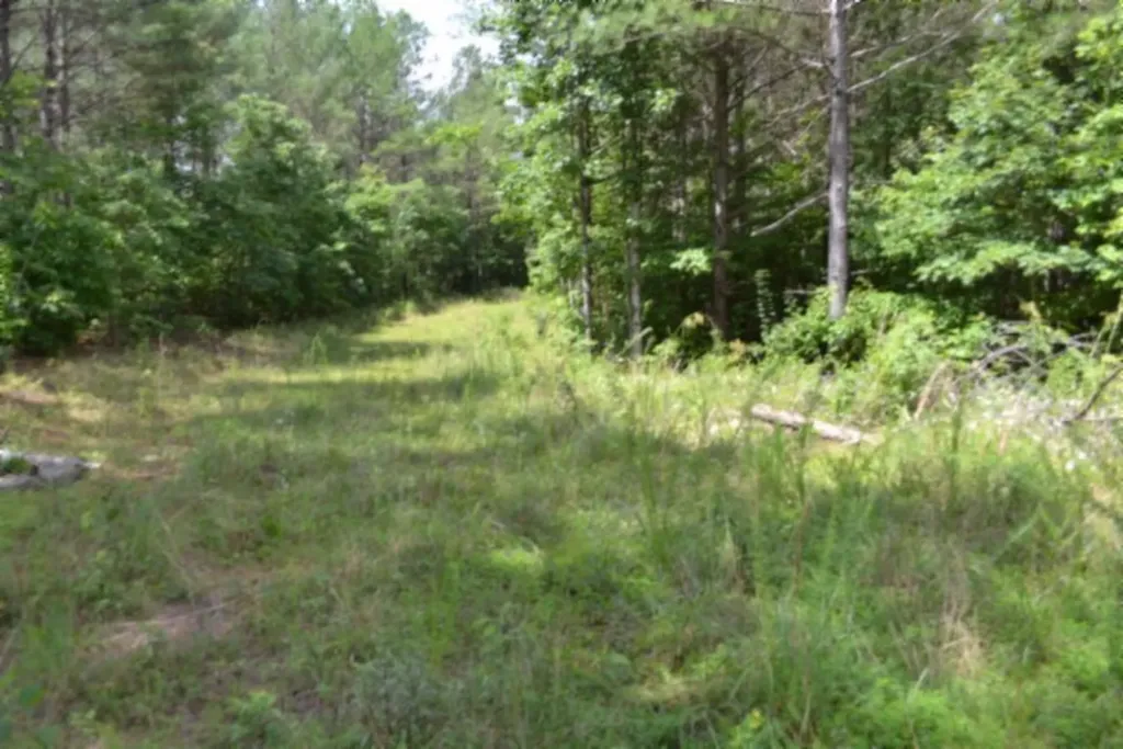 318 Rhodas Way Road Sunbright TN 37872