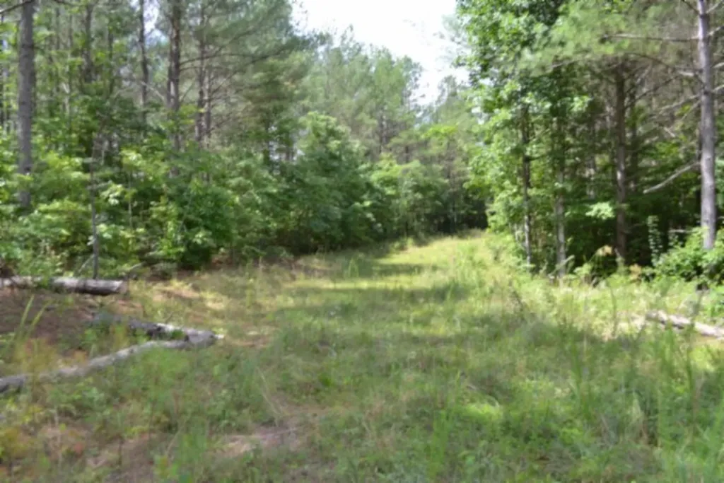 318 Rhodas Way Road Sunbright TN 37872