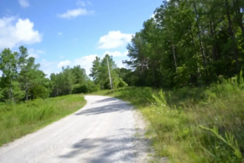 318 Rhodas Way Road Sunbright TN 37872