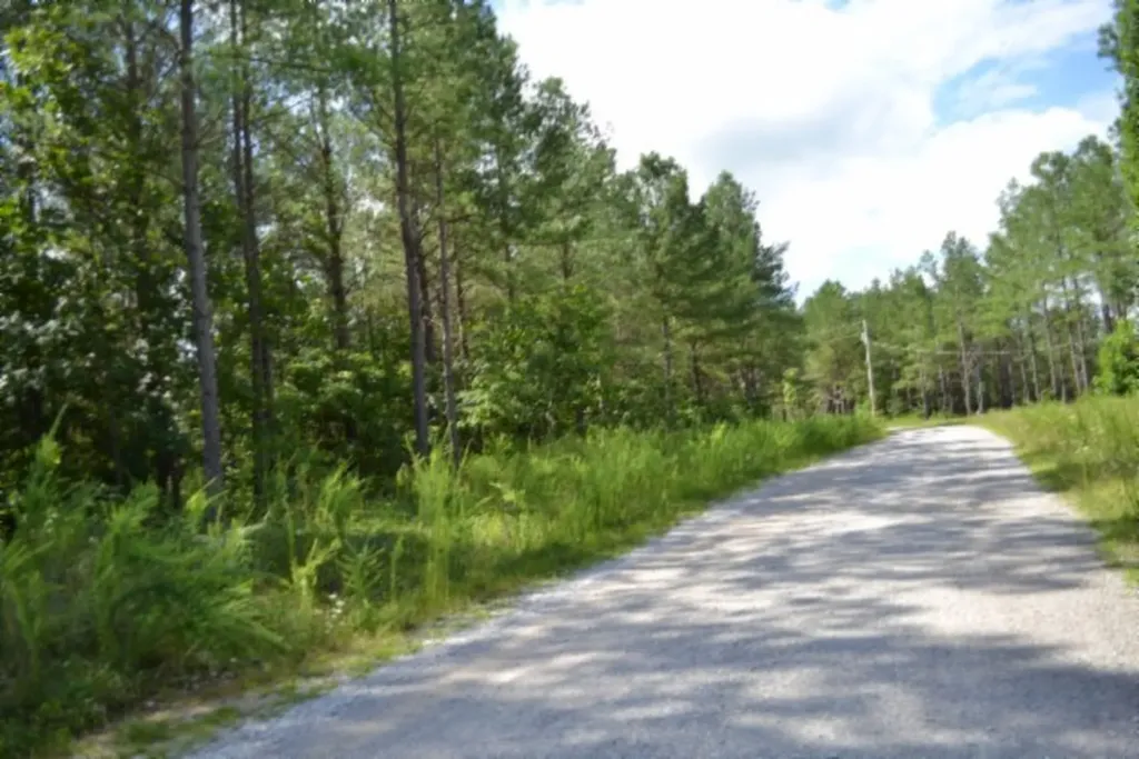 318 Rhodas Way Road Sunbright TN 37872