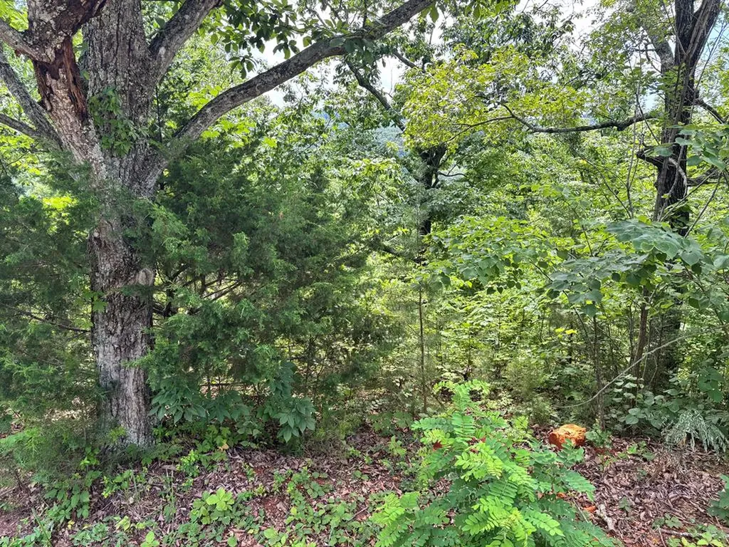 1.31 Ac Wood River Lane Allons TN 38541