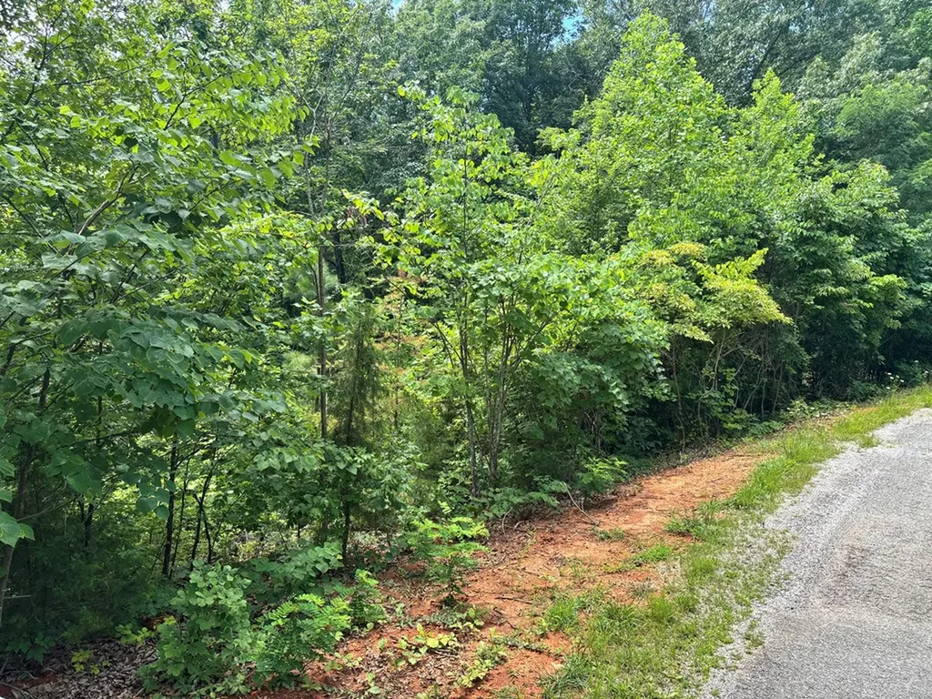 1.31 Ac Wood River Lane Allons TN 38541