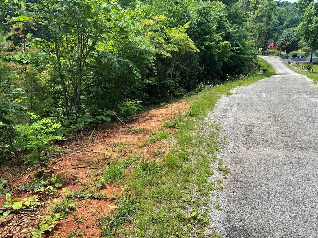 1.31 Ac Wood River Lane Allons TN 38541