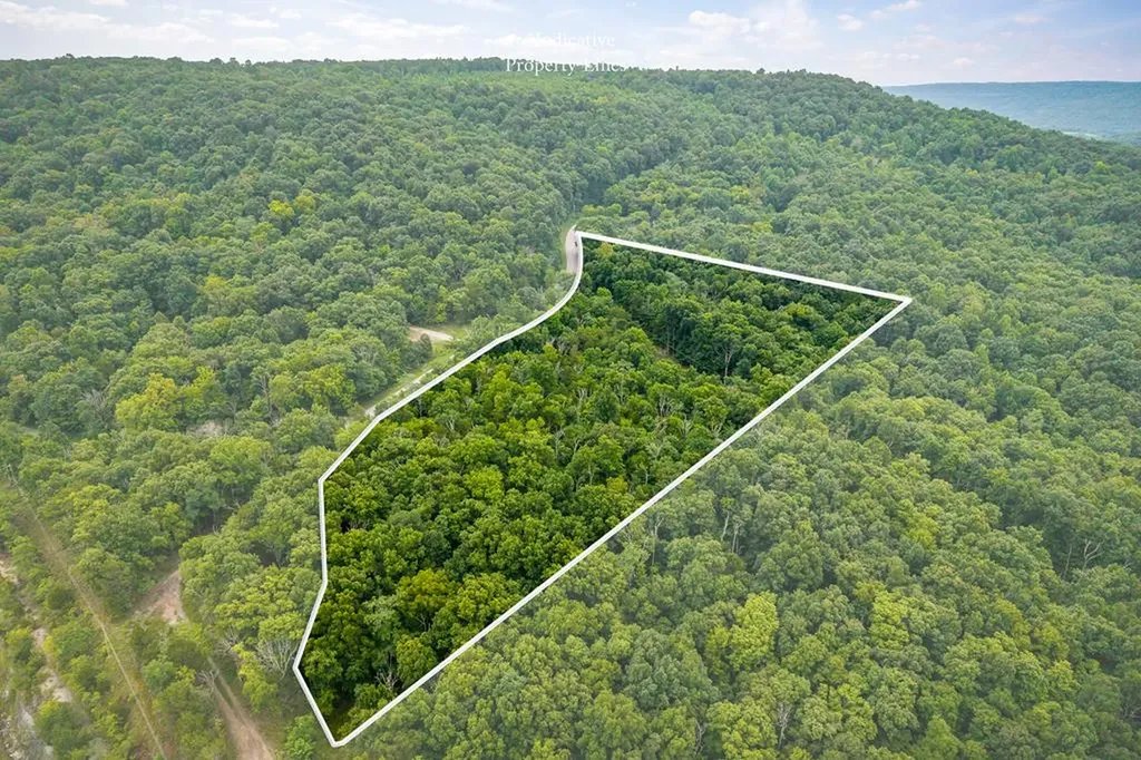 00 Old Bon Air Road Sparta TN 38583