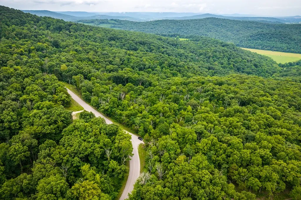 00 Old Bon Air Road Sparta TN 38583