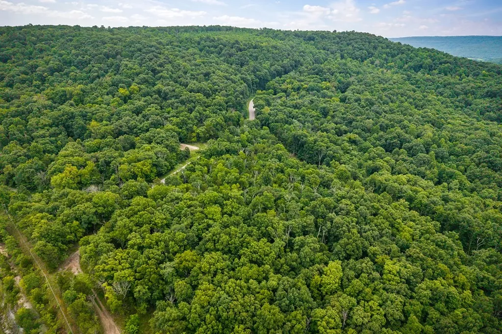 00 Old Bon Air Road Sparta TN 38583