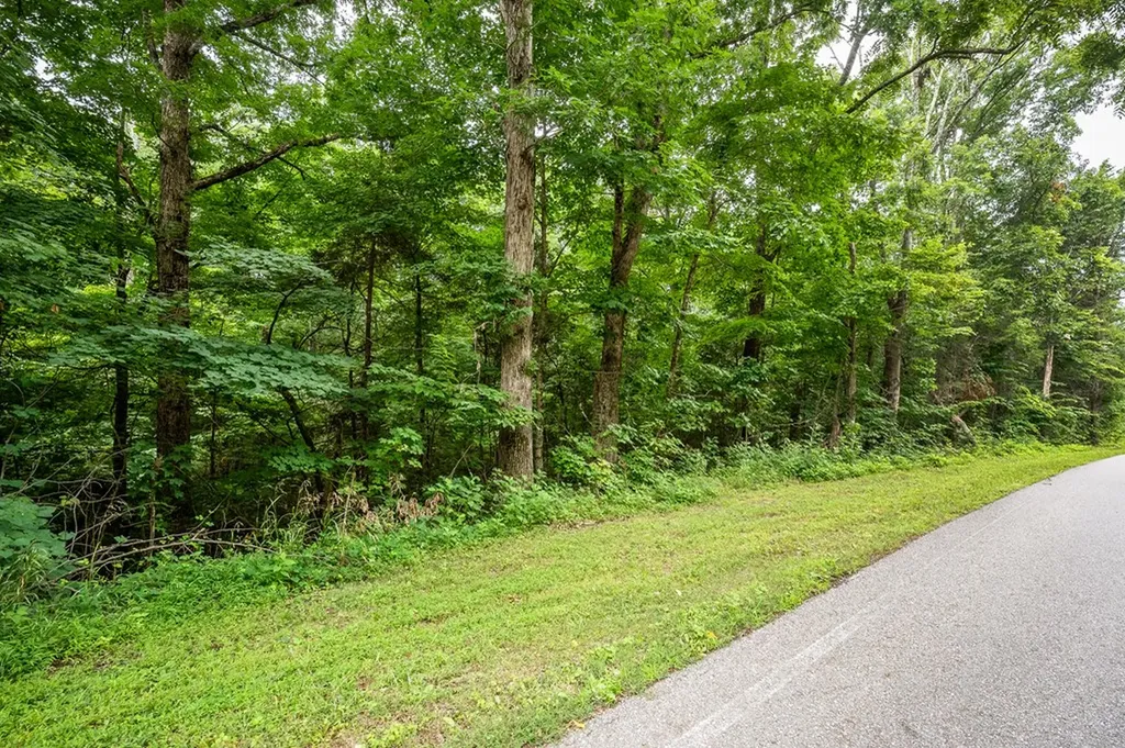 00 Old Bon Air Road Sparta TN 38583