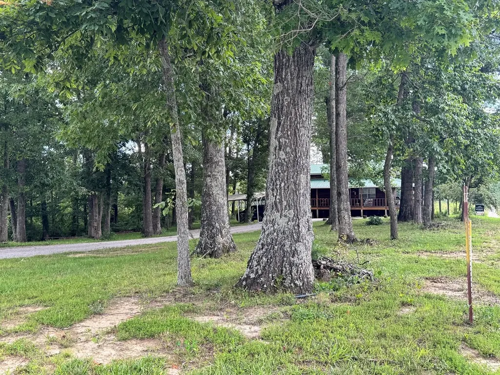 6105 S York Highway Clarkrange TN 38553