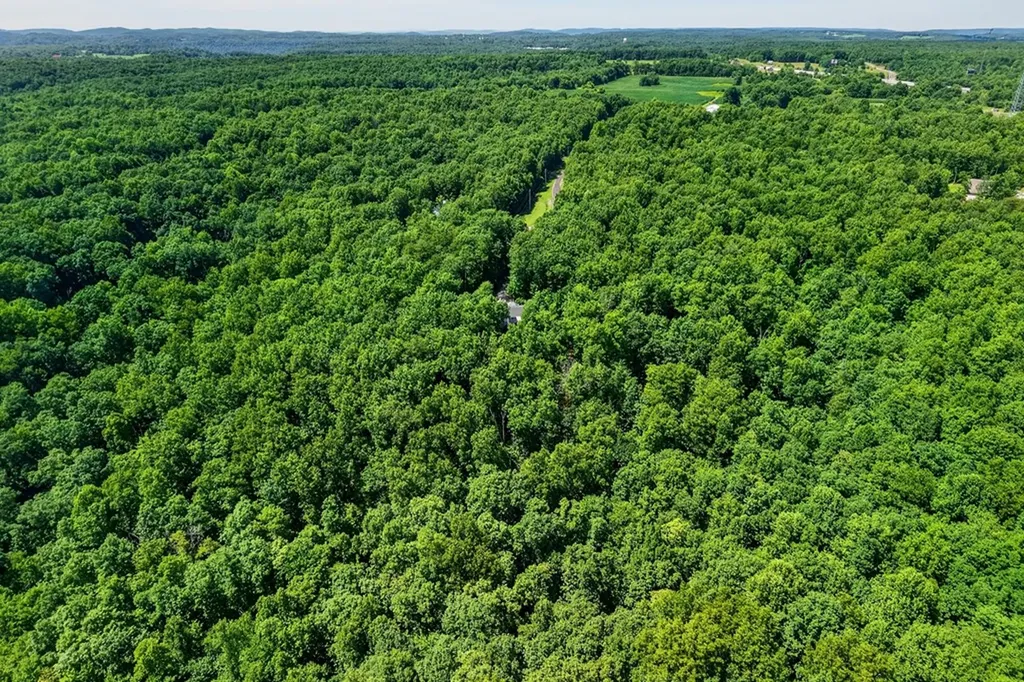 1.9AC Point Place Monterey TN 38574