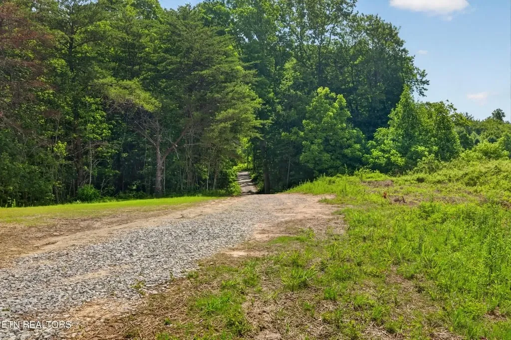 1090 Bill Black Road Unit 1 Clarkrange TN 38553