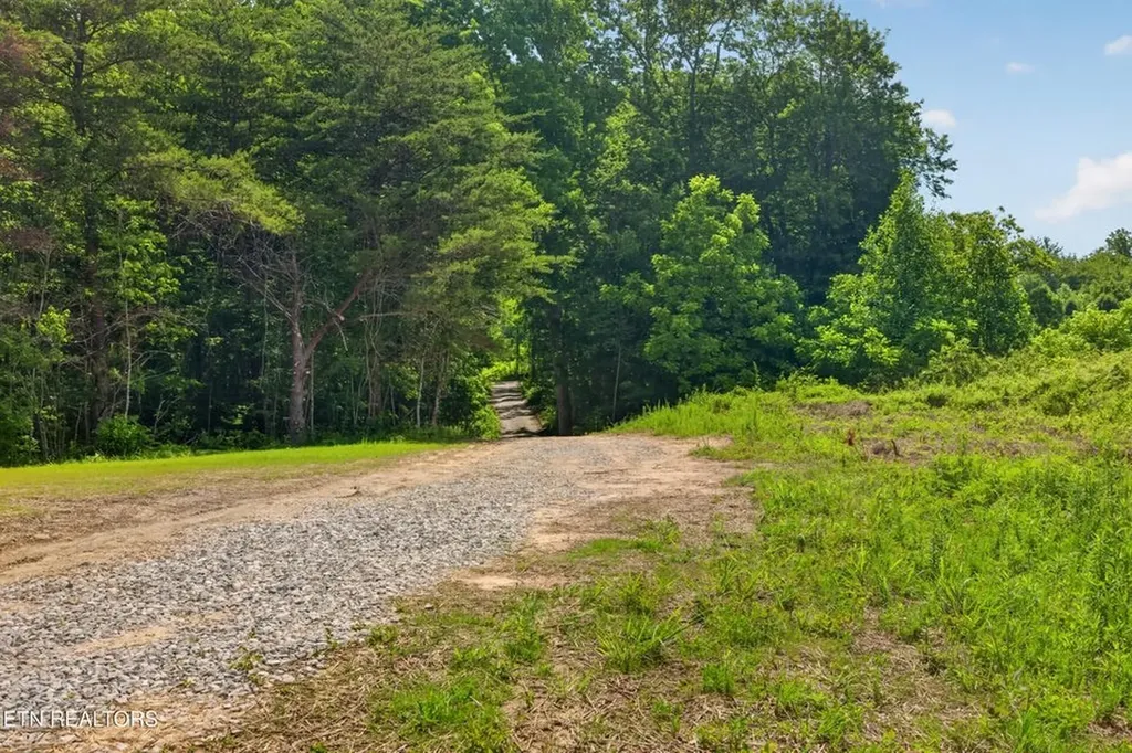 1090 Bill Black Road Unit 1 Clarkrange TN 38553