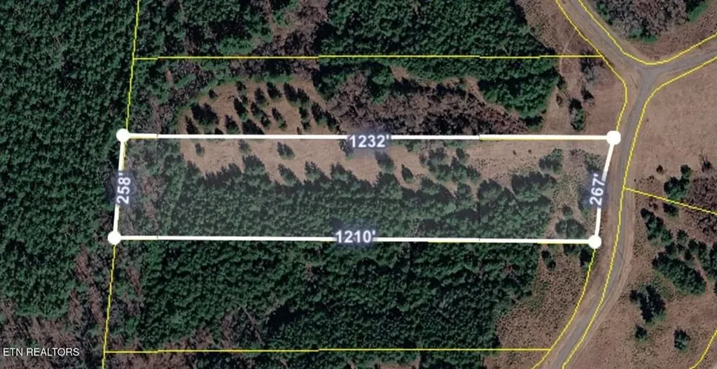 0 White Creek Drive Deer Lodge TN 37726