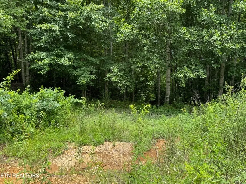 420 Oneida Lane Wilder TN 38589