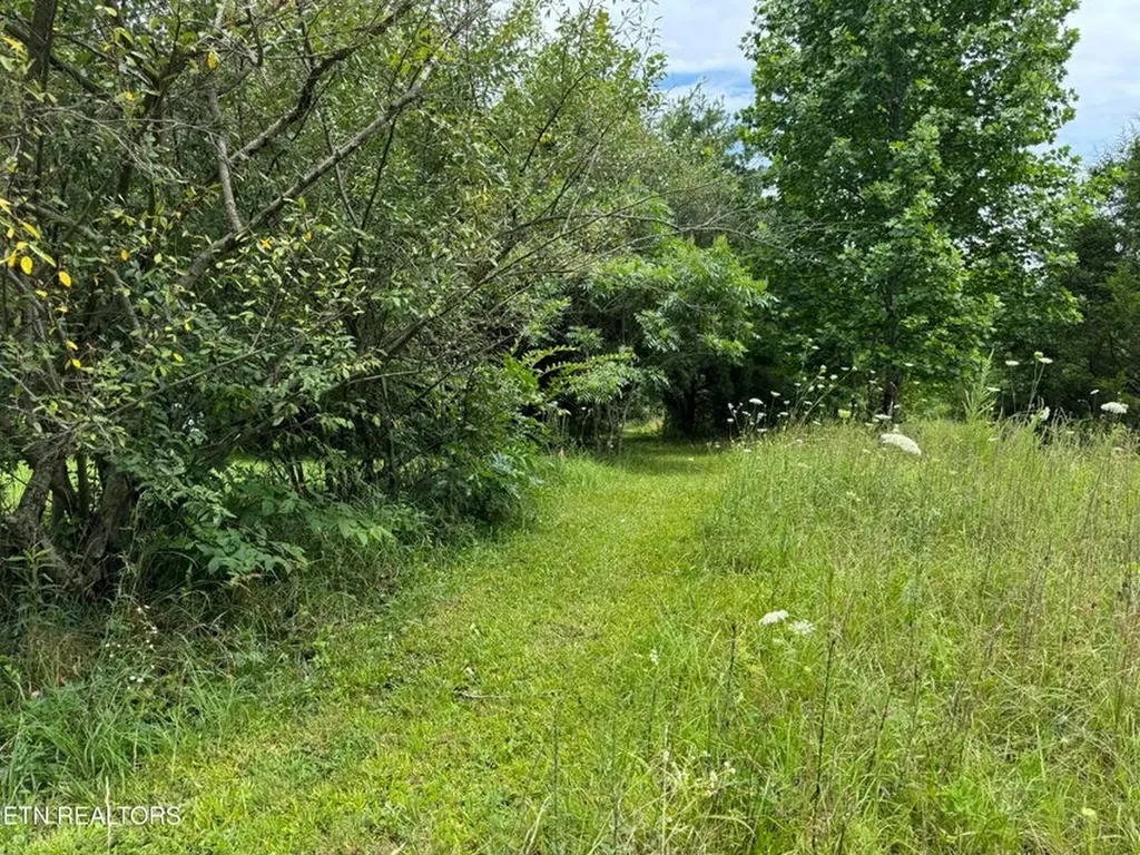 420 Oneida Lane Wilder TN 38589