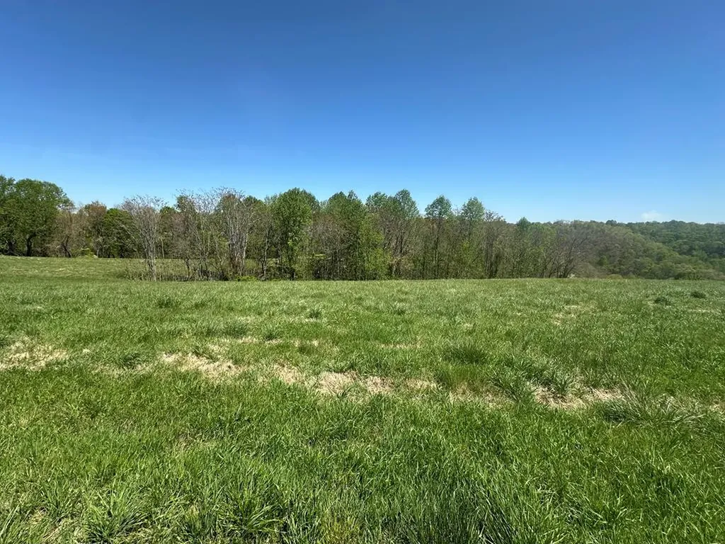Lot 10 H O Allison Baxter TN 38544