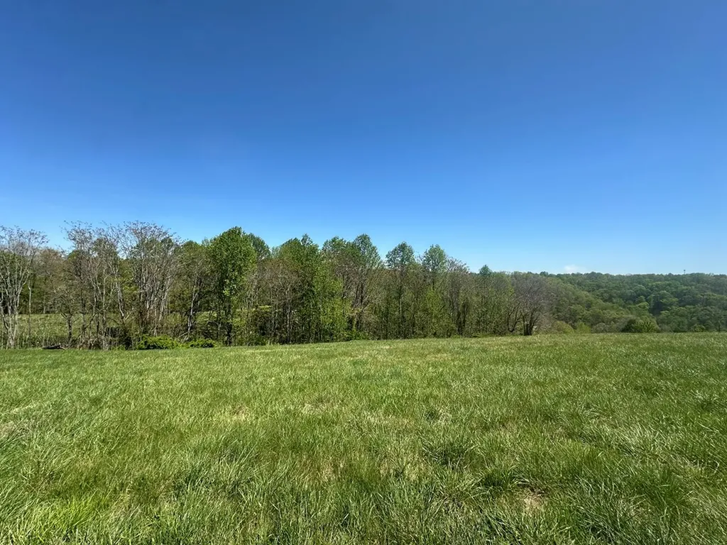 Lot 10 H O Allison Baxter TN 38544
