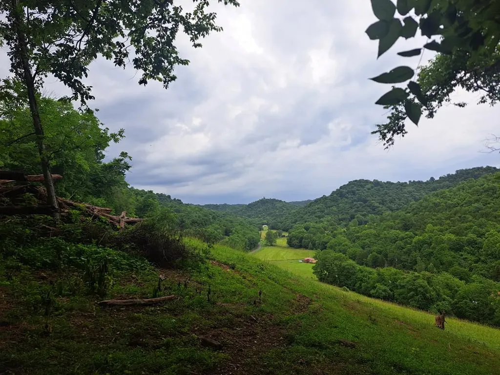 914 Wartrace Highway Pleasant Shade TN 37145