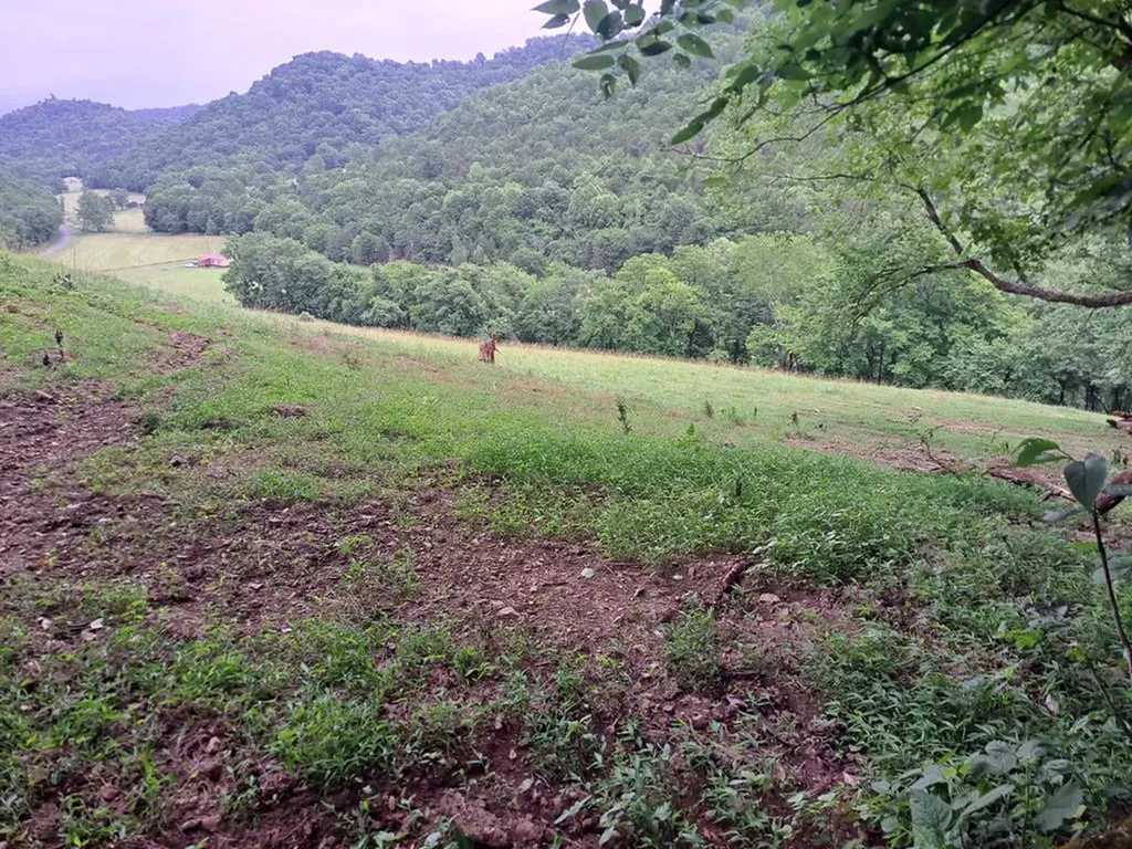 914 Wartrace Highway Pleasant Shade TN 37145