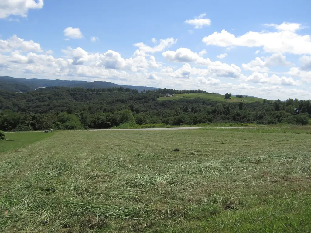 48 E. Swan Ridge Road Hilham TN 38568
