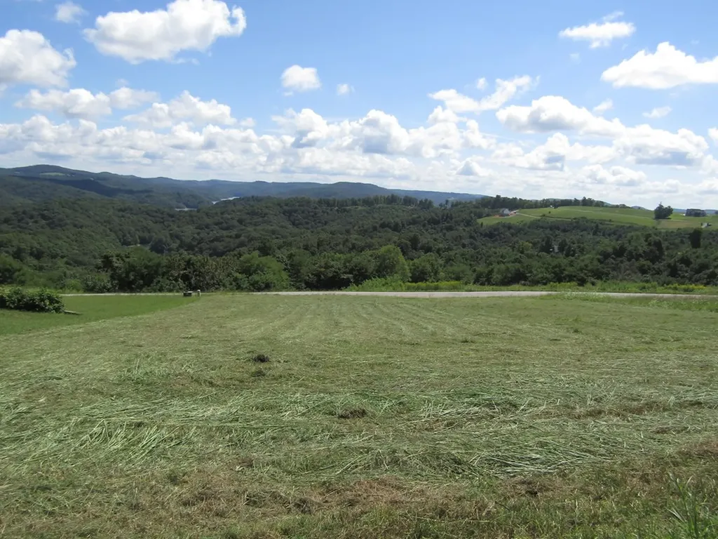 48 E. Swan Ridge Road Hilham TN 38568