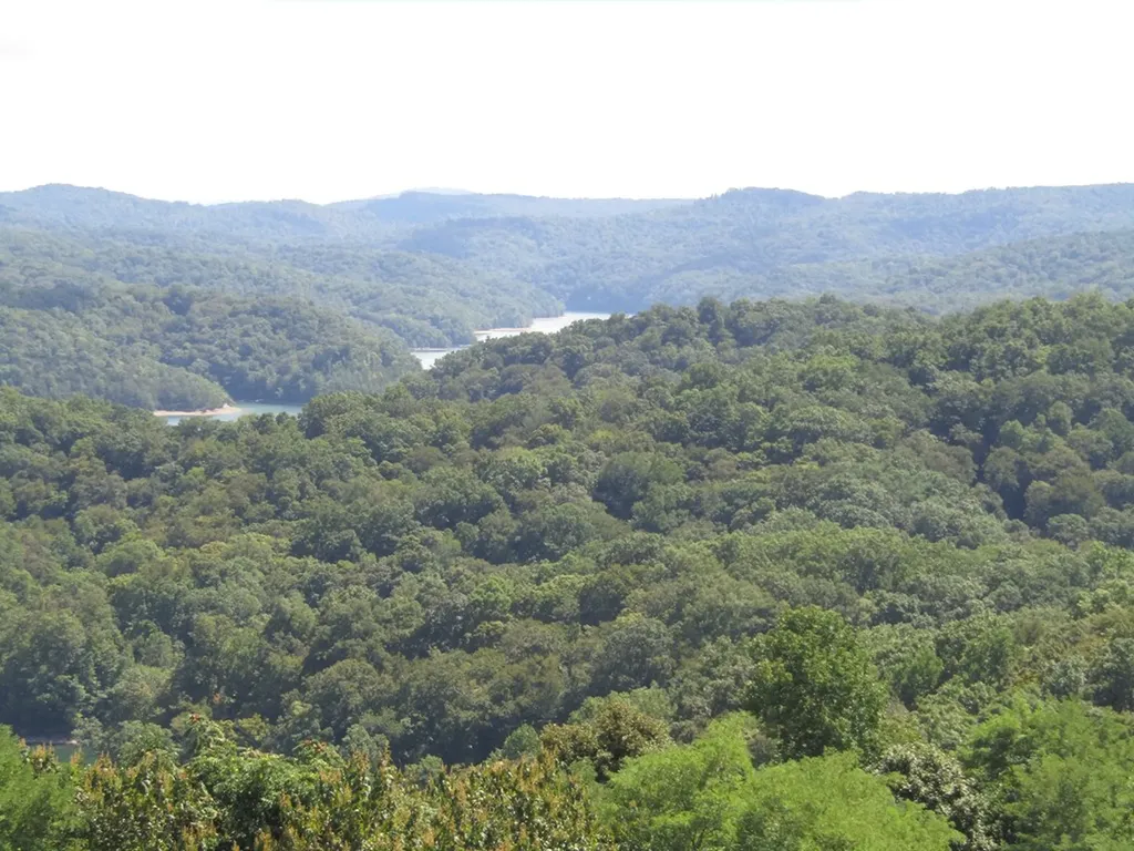48 E. Swan Ridge Road Hilham TN 38568