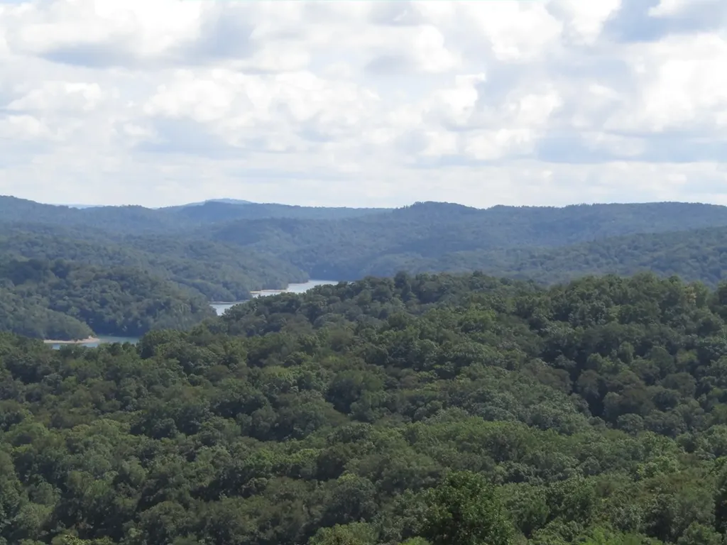 48 E. Swan Ridge Road Hilham TN 38568
