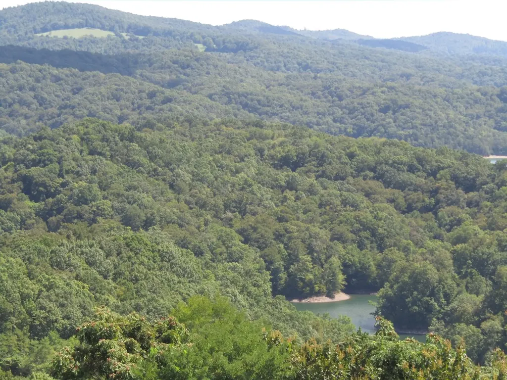 48 E. Swan Ridge Road Hilham TN 38568