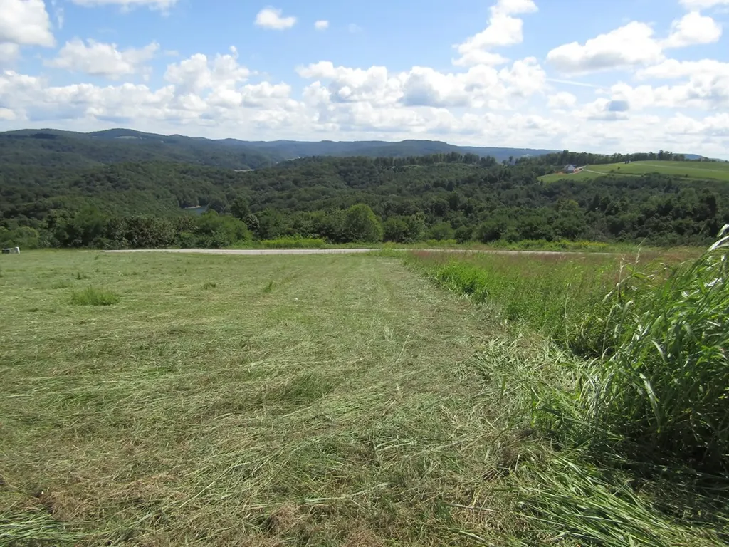 48 E. Swan Ridge Road Hilham TN 38568