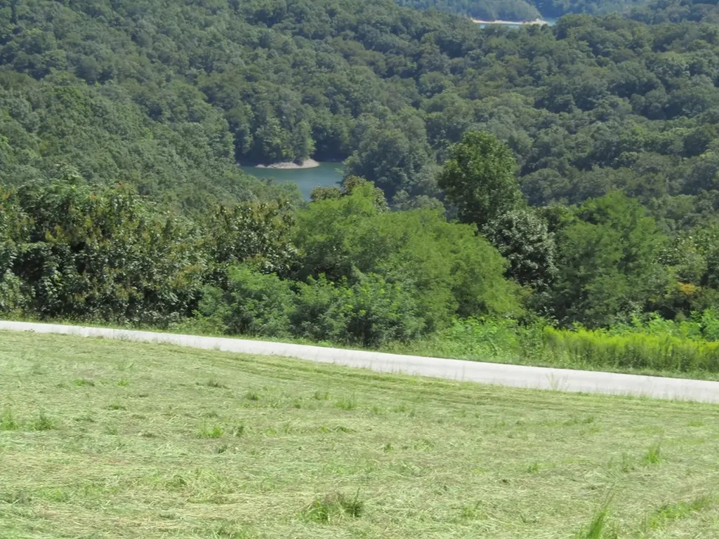 48 E. Swan Ridge Road Hilham TN 38568
