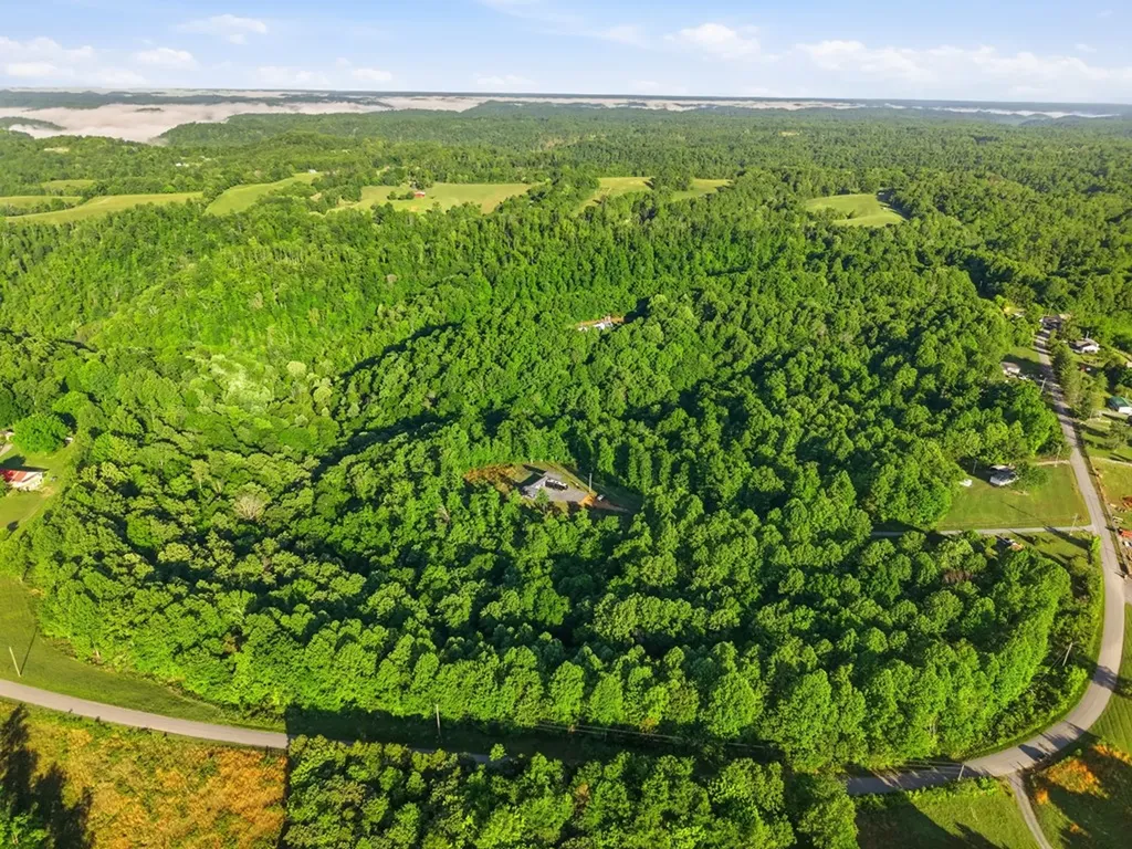 161 Chestnut Gainesboro TN 38562