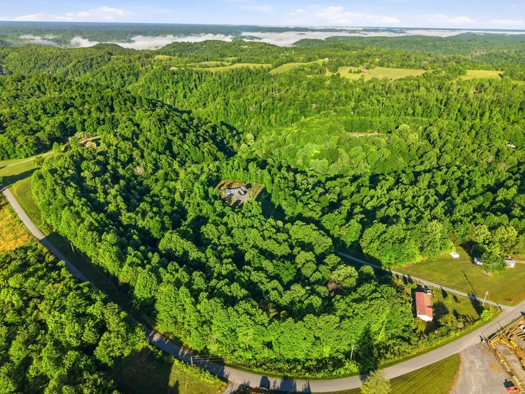 161 Chestnut Gainesboro TN 38562