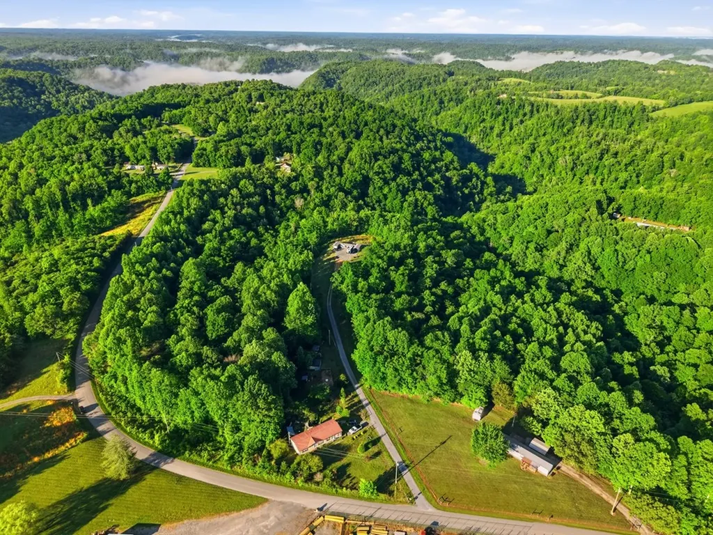161 Chestnut Gainesboro TN 38562