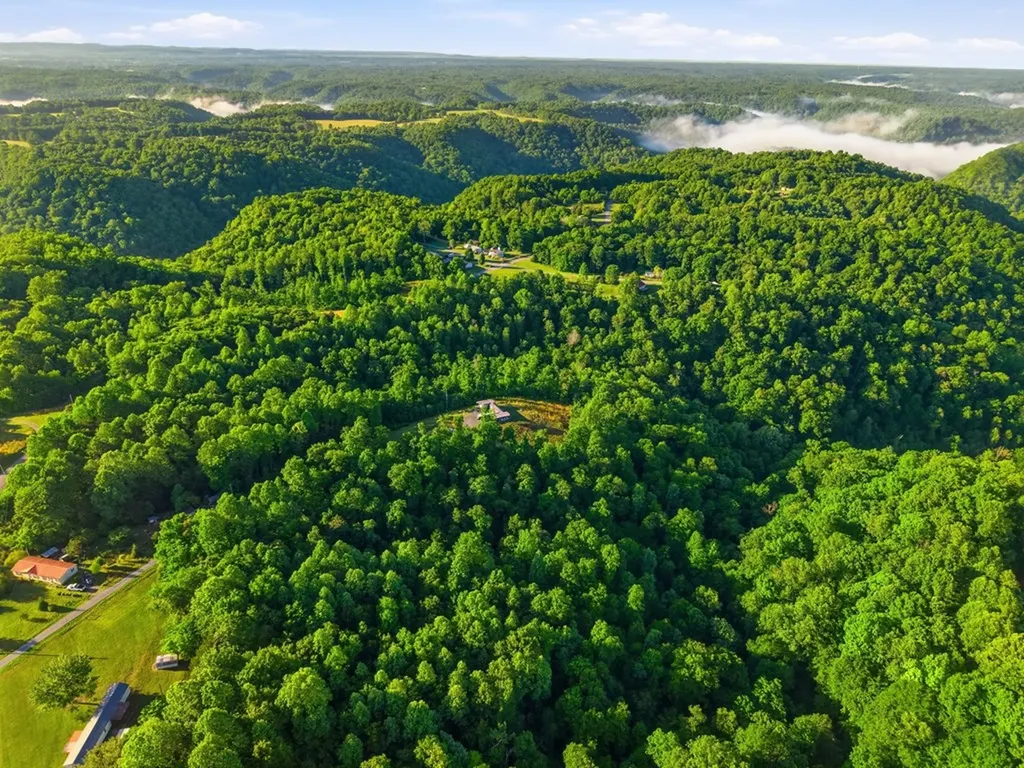 161 Chestnut Gainesboro TN 38562