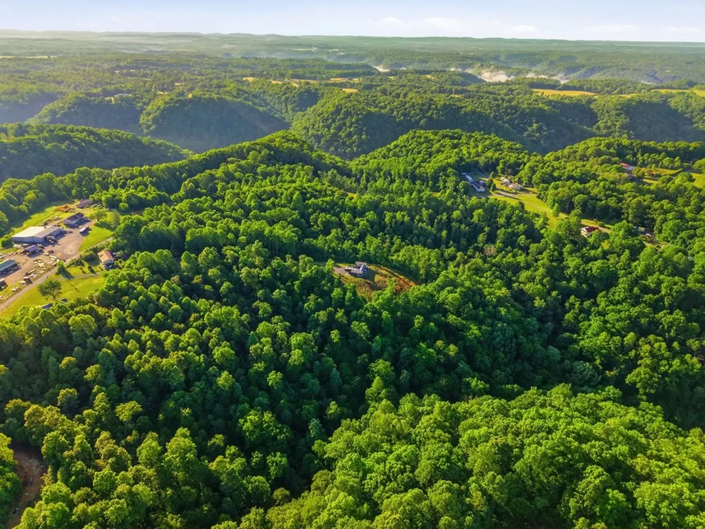 161 Chestnut Gainesboro TN 38562