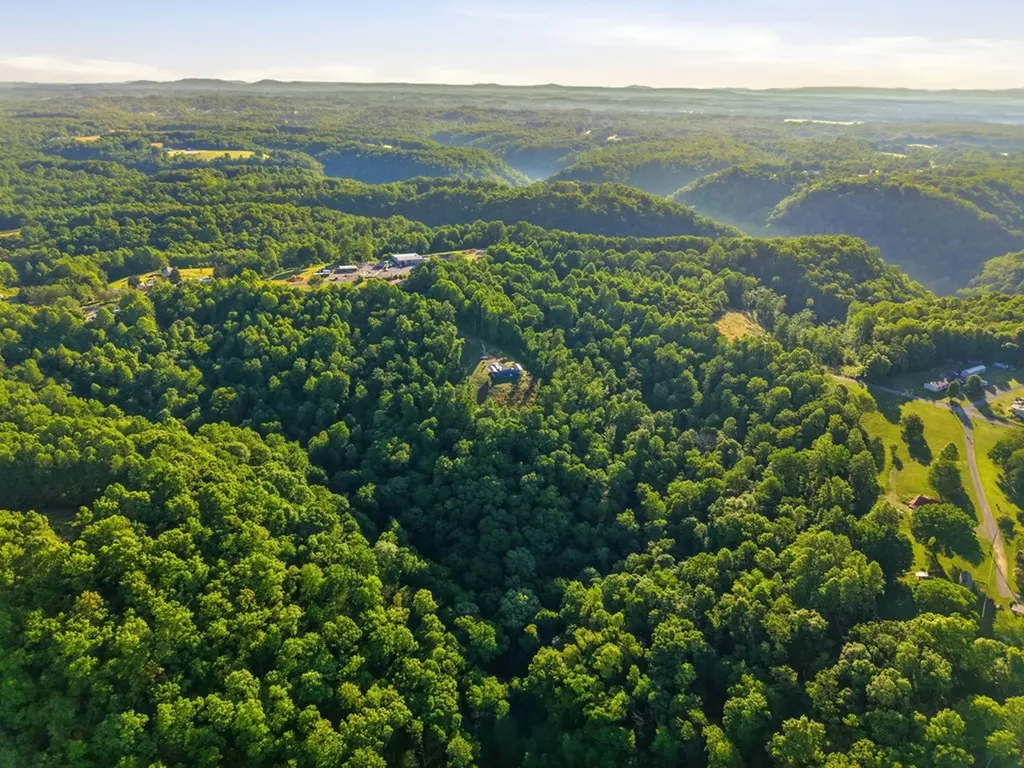 161 Chestnut Gainesboro TN 38562