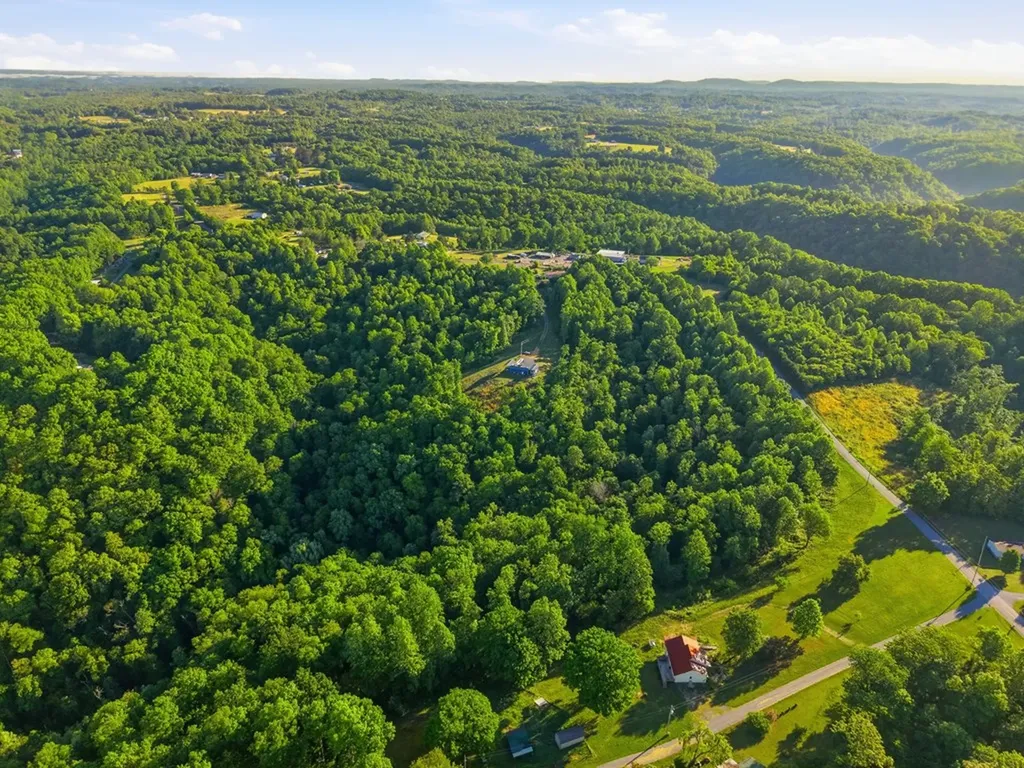 161 Chestnut Gainesboro TN 38562