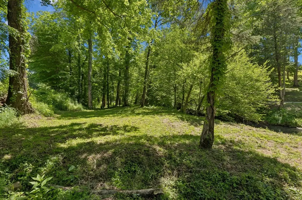 0 Bone Cave Road Rock Island TN 38581