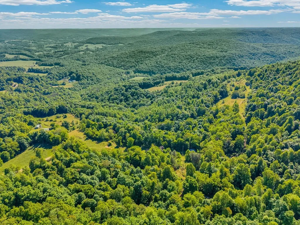 755 Woody Road Byrdstown TN 38549