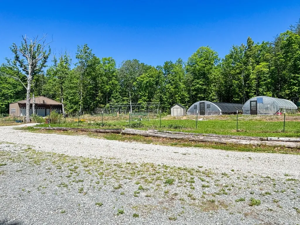 564 Deep Branch Lane Wilder TN 38589