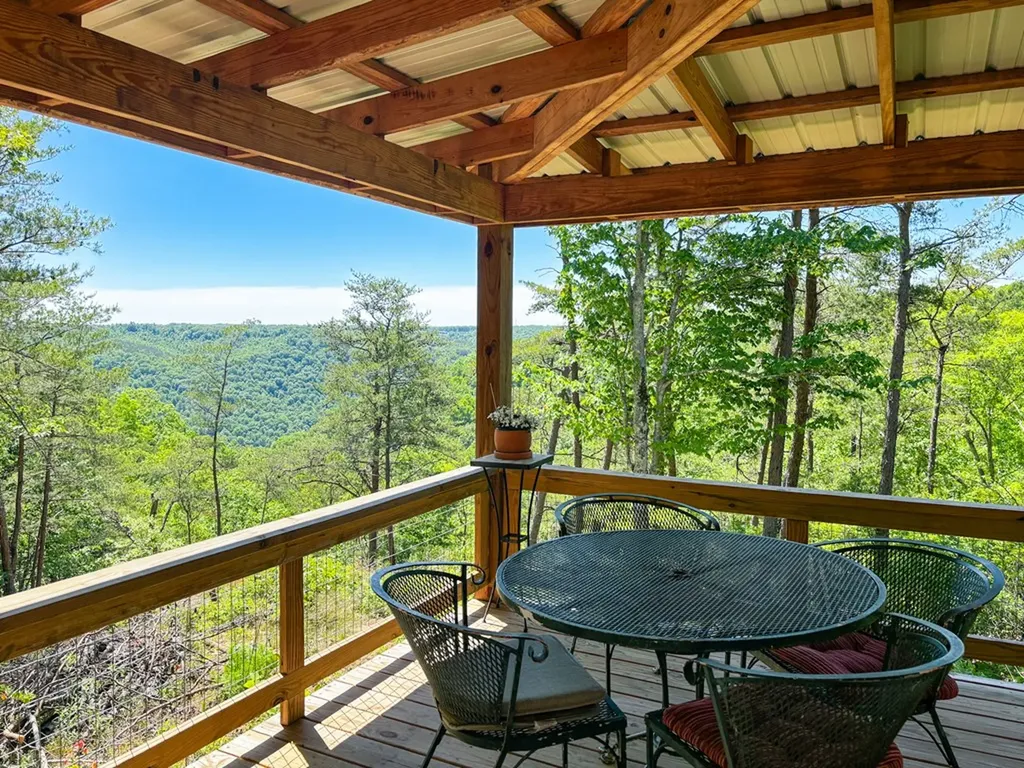 564 Deep Branch Lane Wilder TN 38589