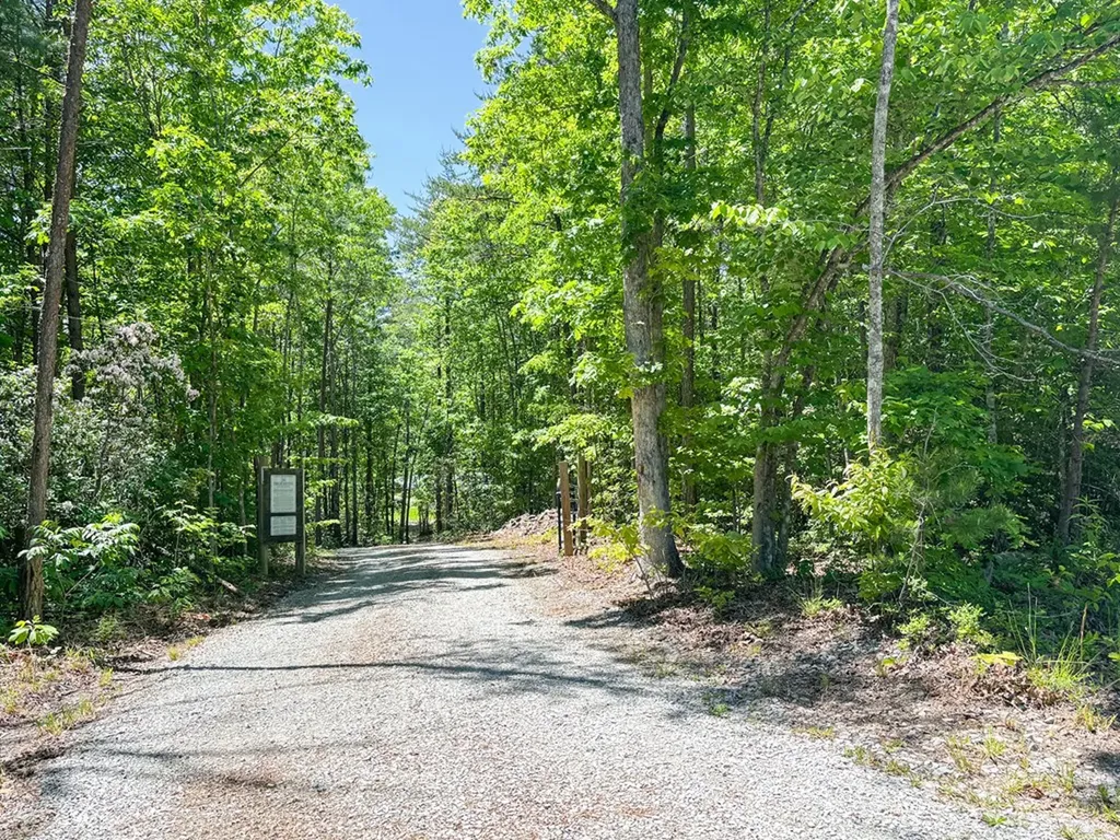 564 Deep Branch Lane Wilder TN 38589