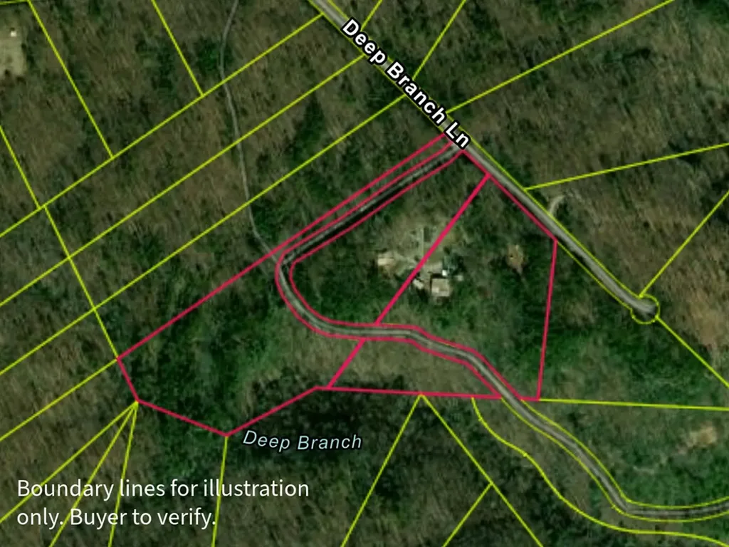 564 Deep Branch Lane Wilder TN 38589