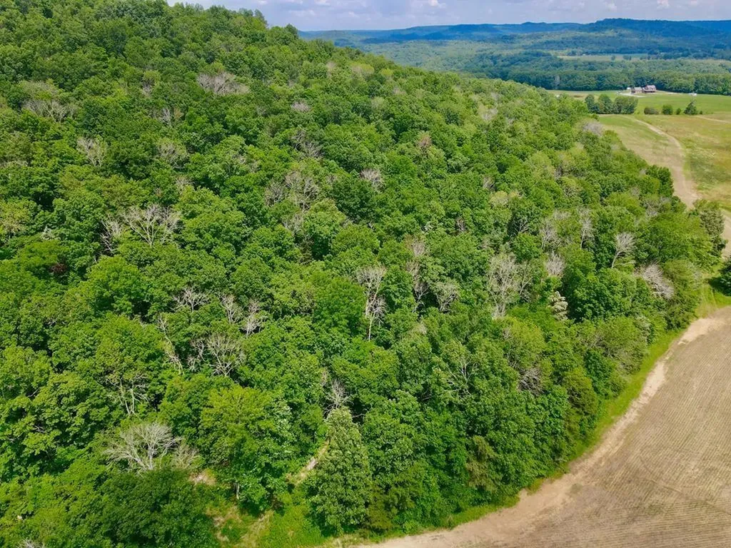 0 Thorn Gap Road Cookeville TN 38506