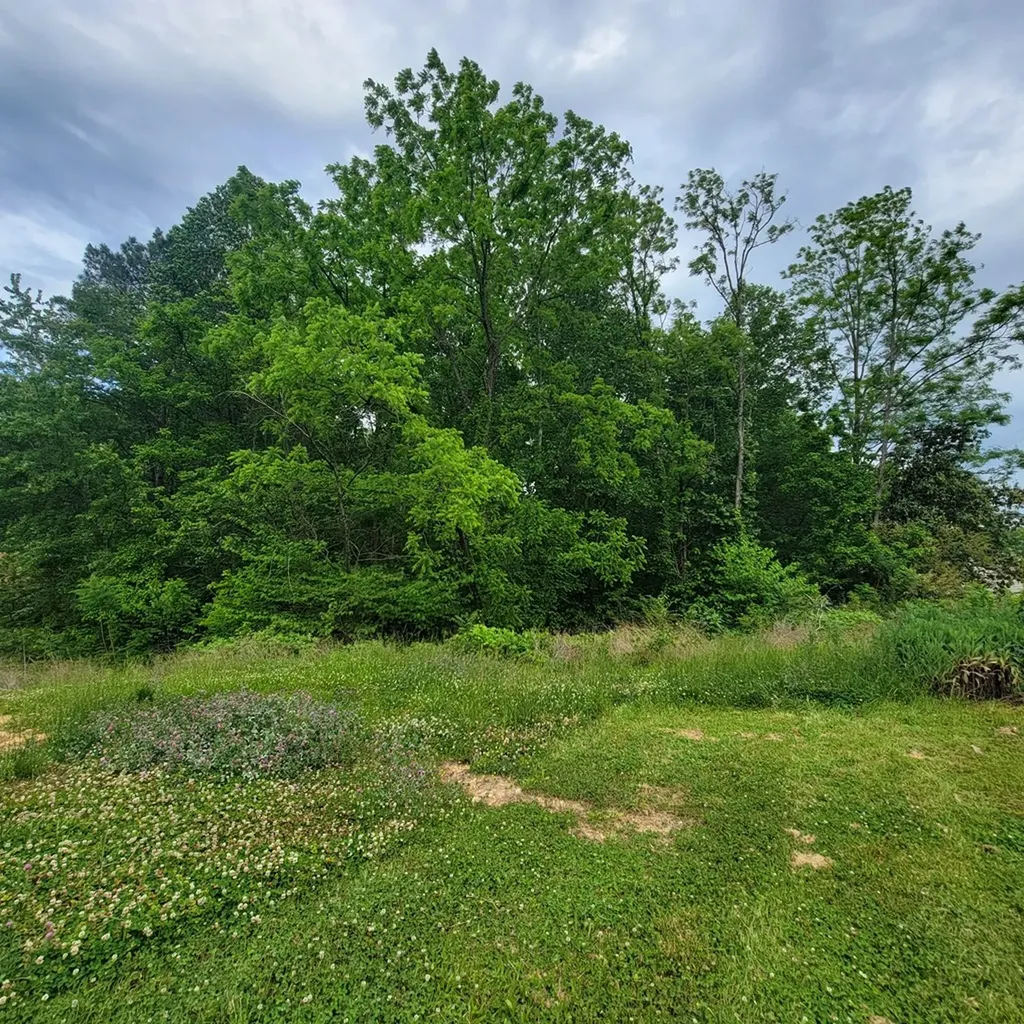 3361 Midway Road Smithville TN 37166