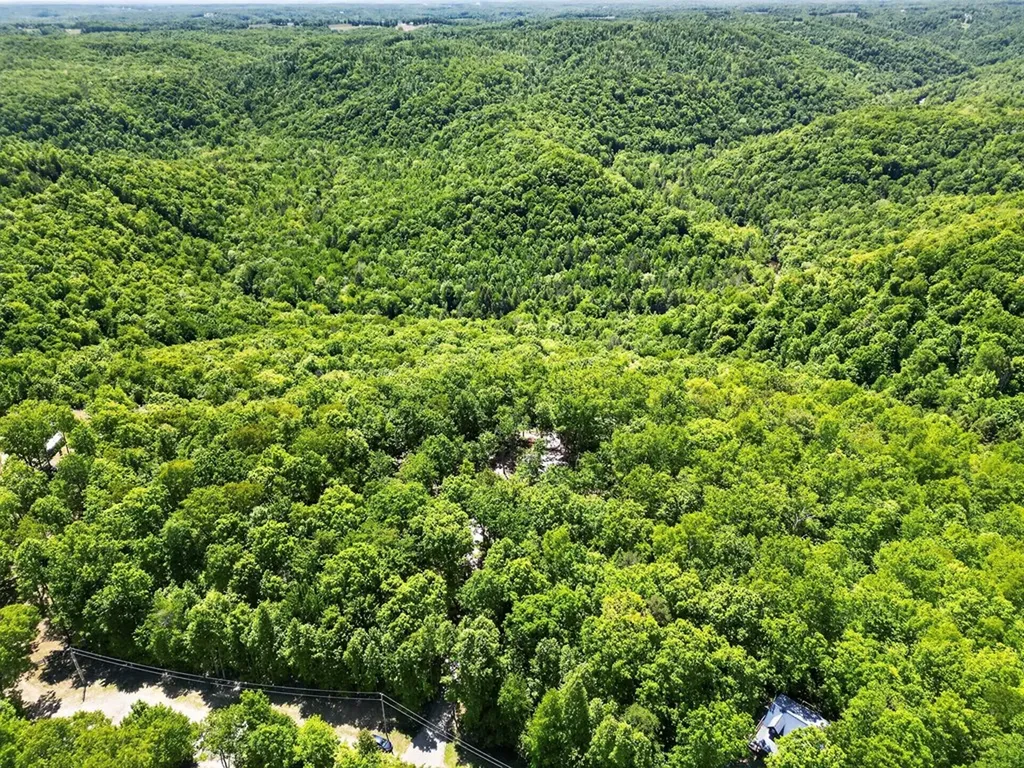 55236 Maynard Ridge Lane Crawford TN 38554